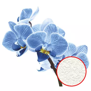 Фреска Ortograf