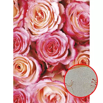 Фреска Ortograf