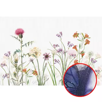 Фреска Ortograf