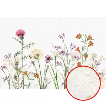 Фреска Ortograf