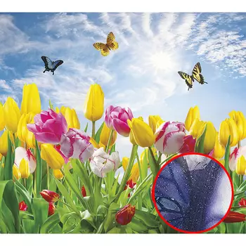 Фреска Ortograf