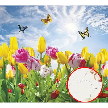 Фреска Ortograf