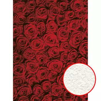 Фреска Ortograf