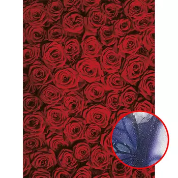 Фреска Ortograf