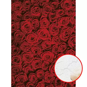 Фреска Ortograf