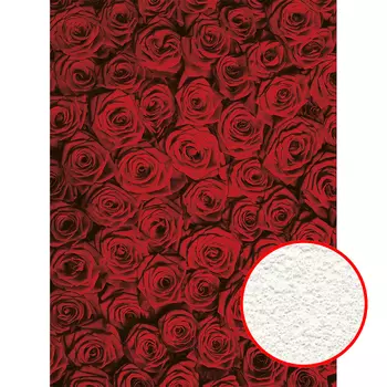 Фреска Ortograf