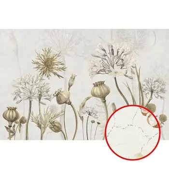 Фреска Ortograf