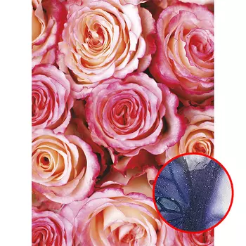 Фреска Ortograf