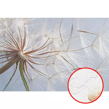 Фреска Ortograf