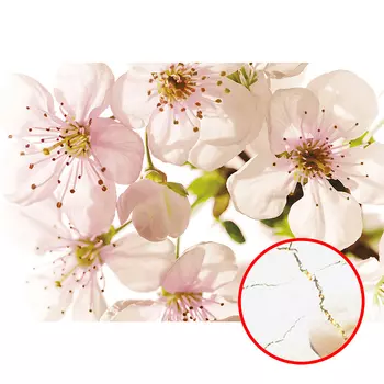 Фреска Ortograf