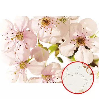 Фреска Ortograf