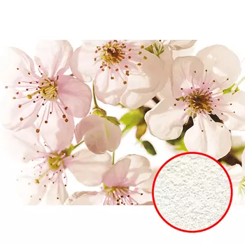 Фреска Ortograf