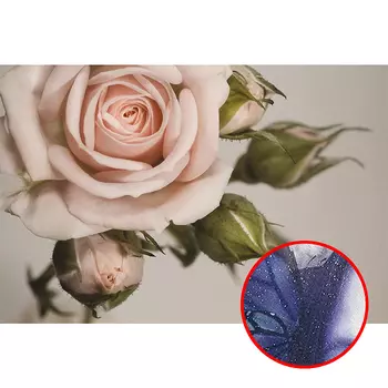 Фреска Ortograf