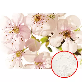 Фреска Ortograf