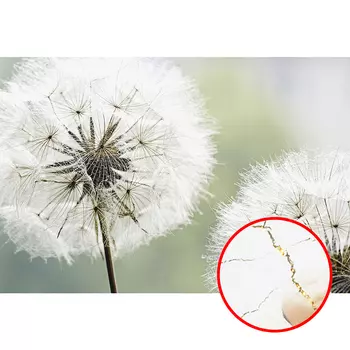 Фреска Ortograf