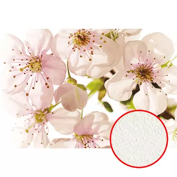 Фреска Ortograf