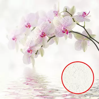 Фреска Ortograf