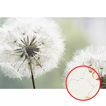 Фреска Ortograf