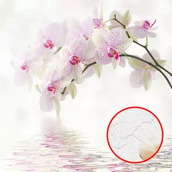 Фреска Ortograf