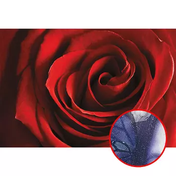 Фреска Ortograf