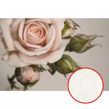 Фреска Ortograf