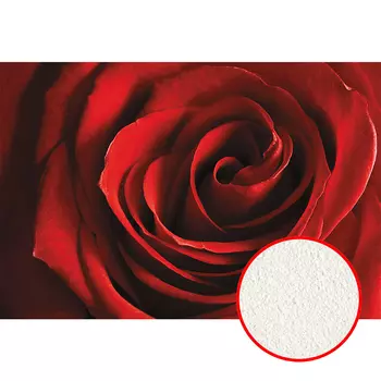 Фреска Ortograf