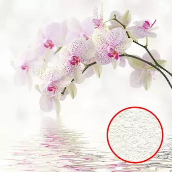 Фреска Ortograf