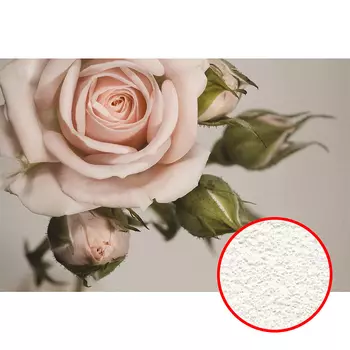 Фреска Ortograf