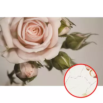 Фреска Ortograf