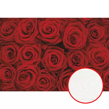 Фреска Ortograf