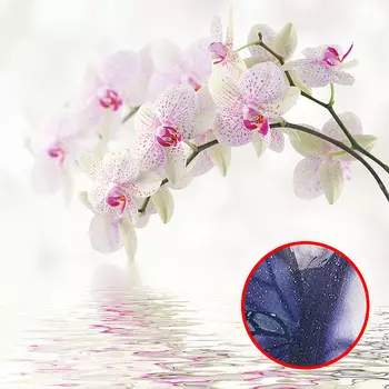 Фреска Ortograf