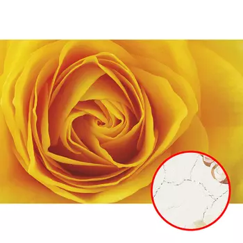 Фреска Ortograf