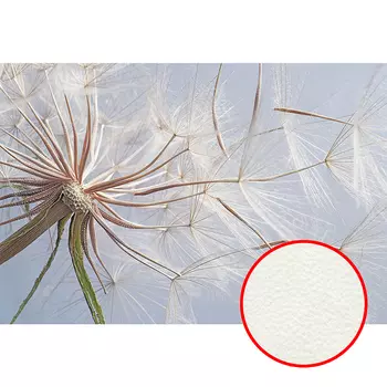 Фреска Ortograf