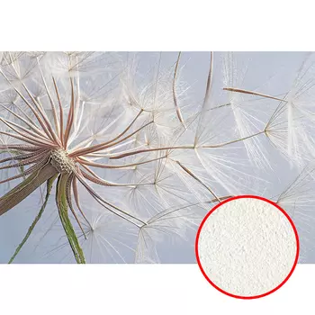 Фреска Ortograf