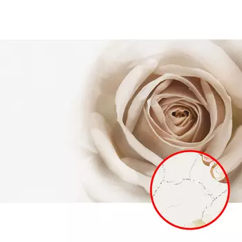 Фреска Ortograf