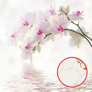 Фреска Ortograf