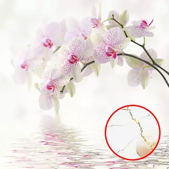 Фреска Ortograf