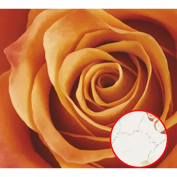 Фреска Ortograf