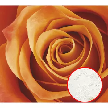 Фреска Ortograf