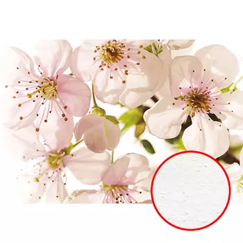 Фреска Ortograf