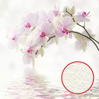 Фреска Ortograf