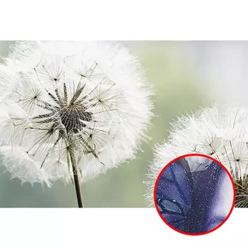 Фреска Ortograf