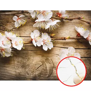 Фреска Ortograf