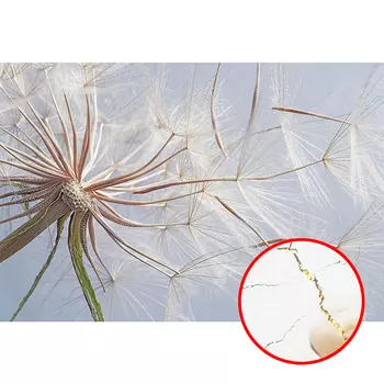 Фреска Ortograf