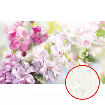 Фреска Ortograf