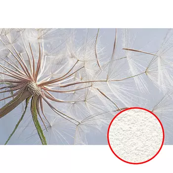 Фреска Ortograf