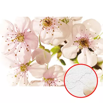 Фреска Ortograf