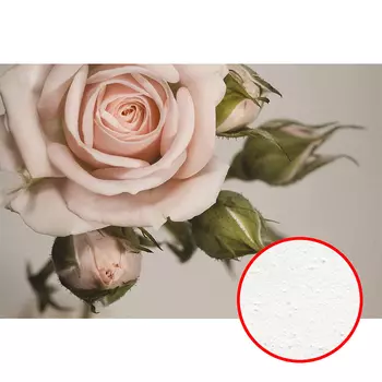 Фреска Ortograf