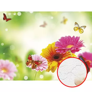 Фреска Ortograf