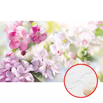 Фреска Ortograf